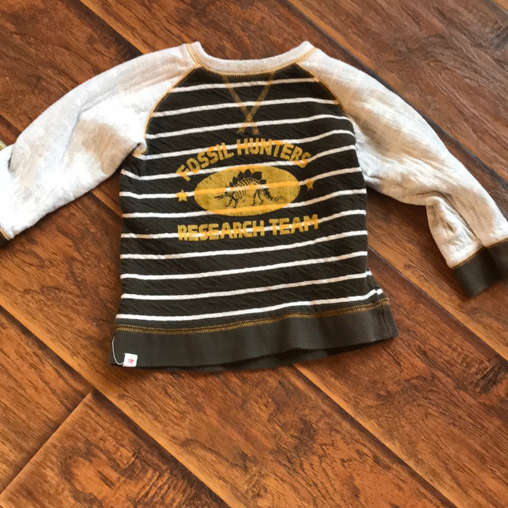 Hatley dinosaur long sleeve sweater/shirt
